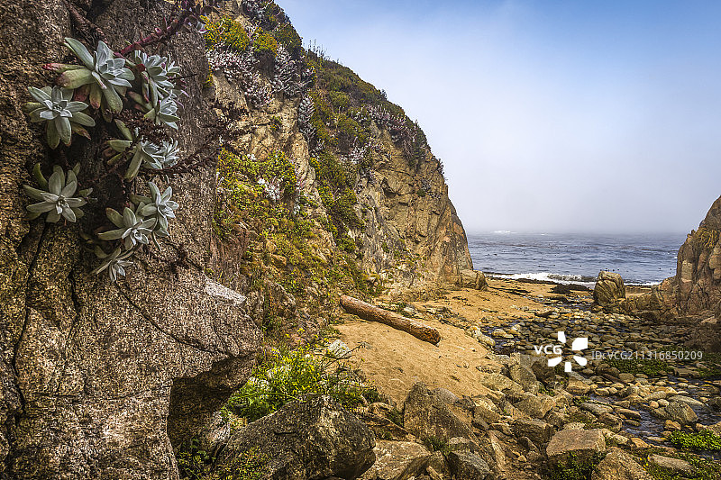 美国加拉帕塔州立公园海景图片素材