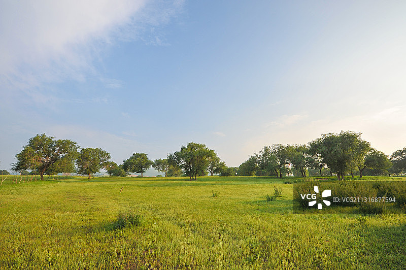 内蒙古自治区无人草原和树林景观图片素材