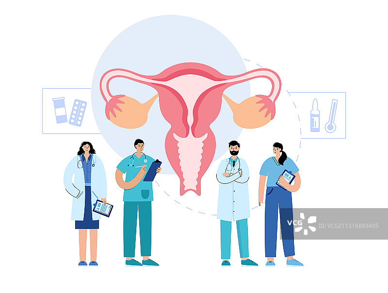 生殖系统概念图片素材