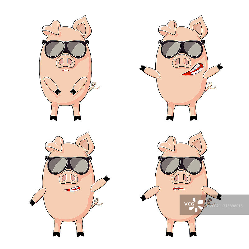 小猪合集图片素材