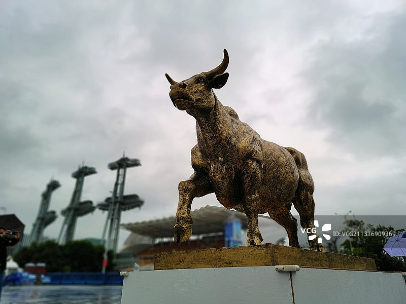 花城广州“金牛”迎春来图片素材