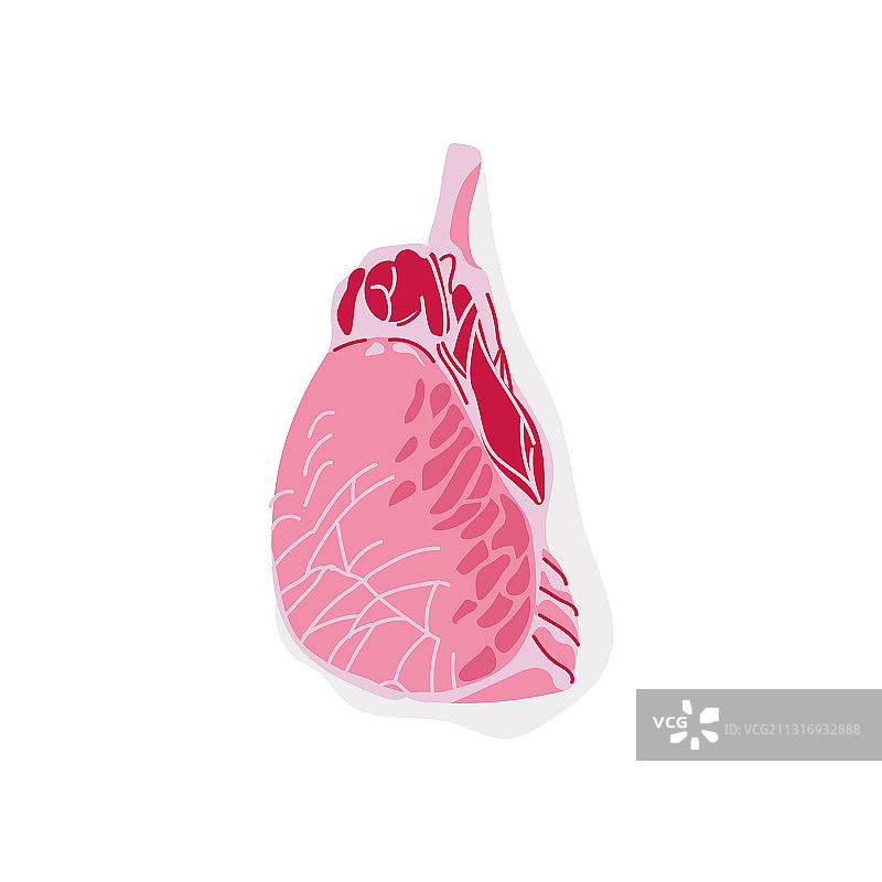 优质肋眼牛肉片图片素材