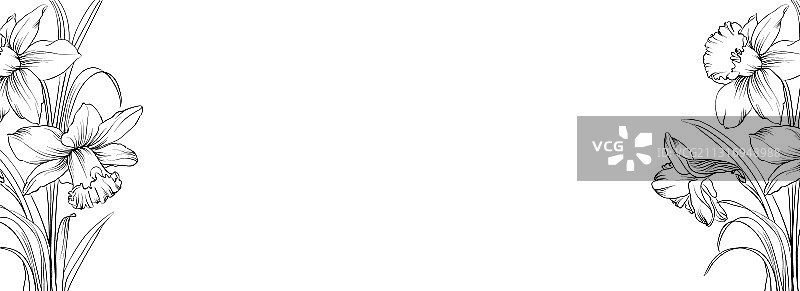 植物元素设计模板全景图图片素材