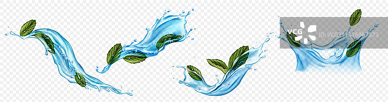 薄荷醇或薄荷叶水花合集图片素材