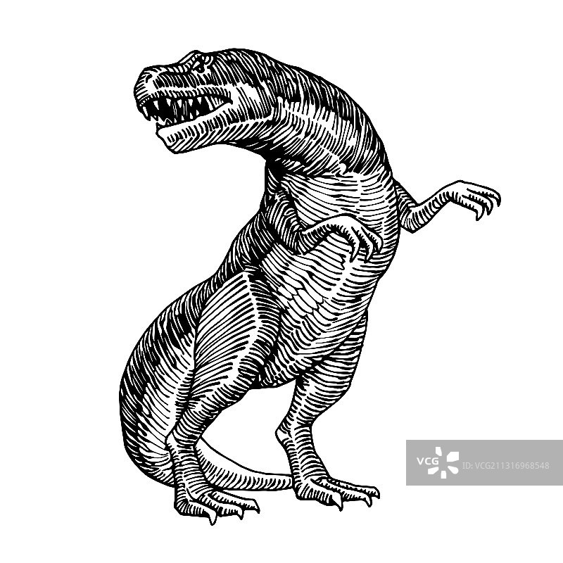 爬行动物侏罗纪时期恐龙图片素材