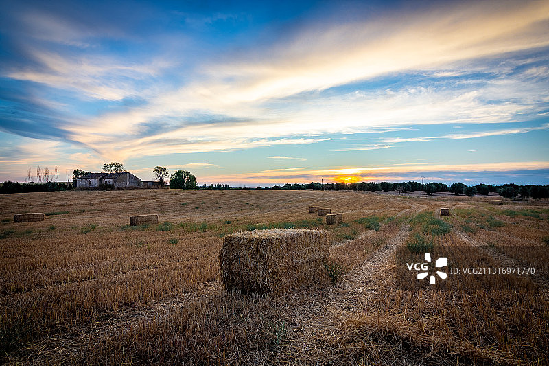 西班牙托莱多省富恩萨利达日落时分农业田地的风景图片素材