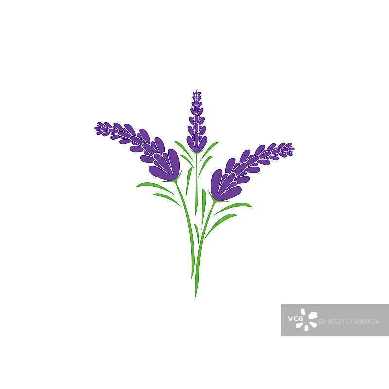 薰衣草Logo图片素材