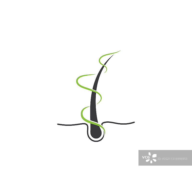 毛囊头发护理标志图片素材