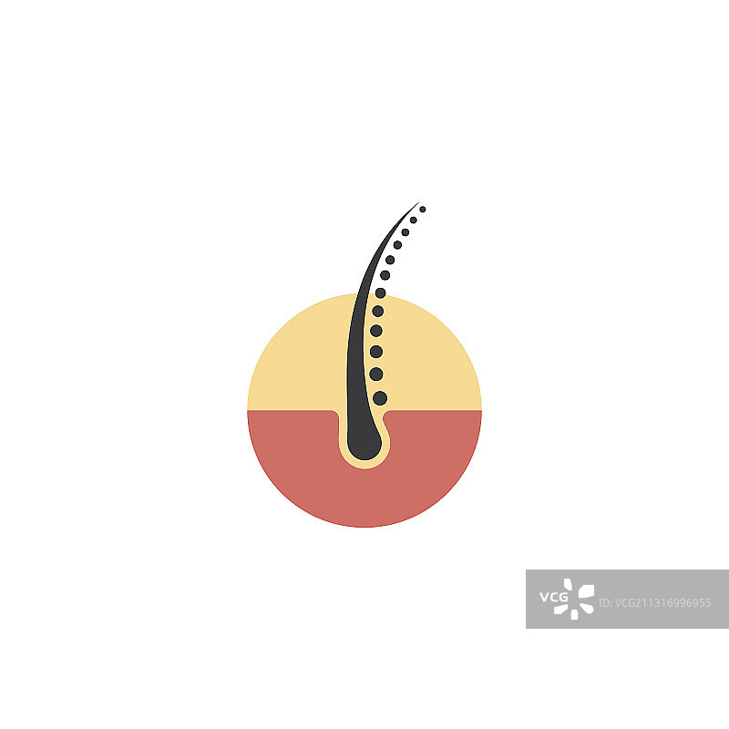 毛囊头发护理标志图片素材