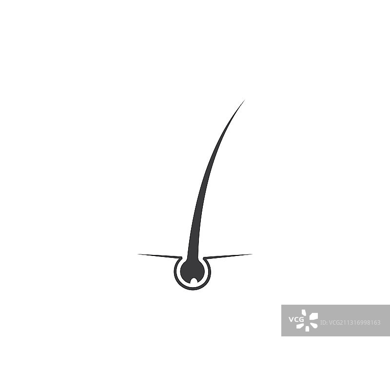 毛囊头发护理图片素材