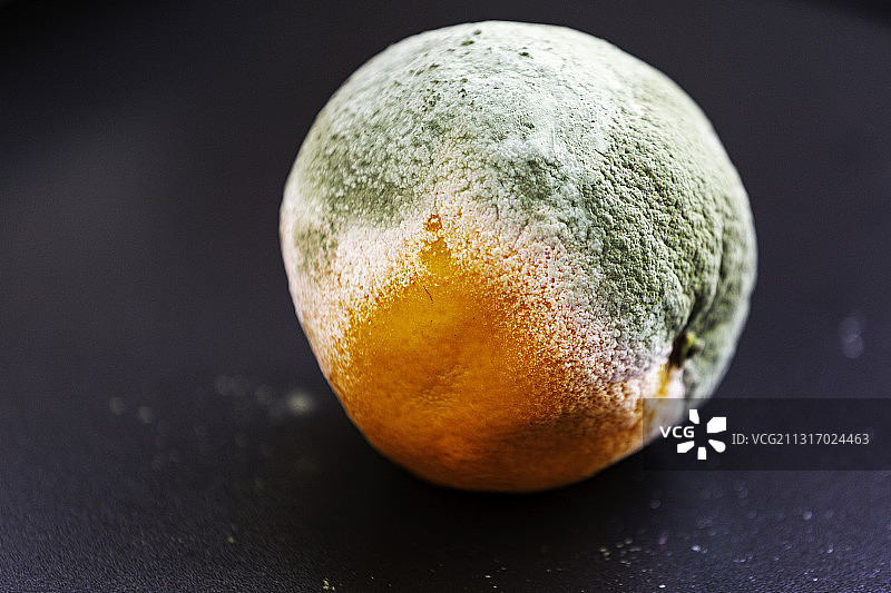 橘子的蜕变图片素材