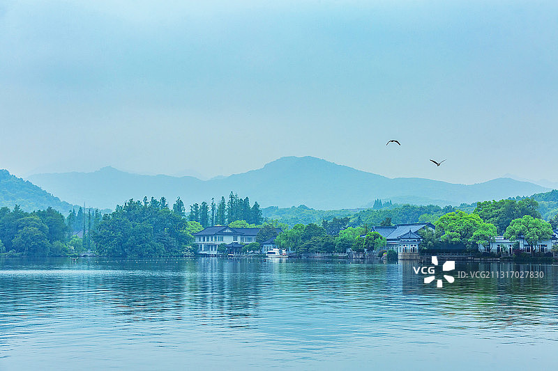 五月雨后的西湖，青山碧水绿树飞鸟图片素材