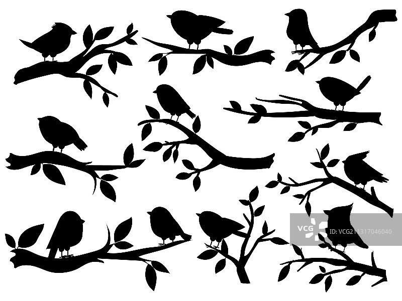 鸟和树枝剪影可爱的鸟图片素材