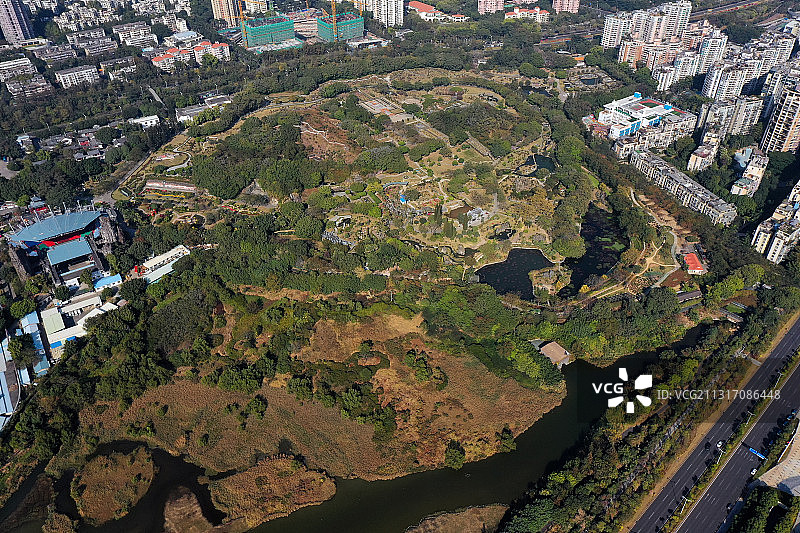 广东省深圳市南山区深圳湾公园欢乐海岸华侨城湿地公园航拍图片素材
