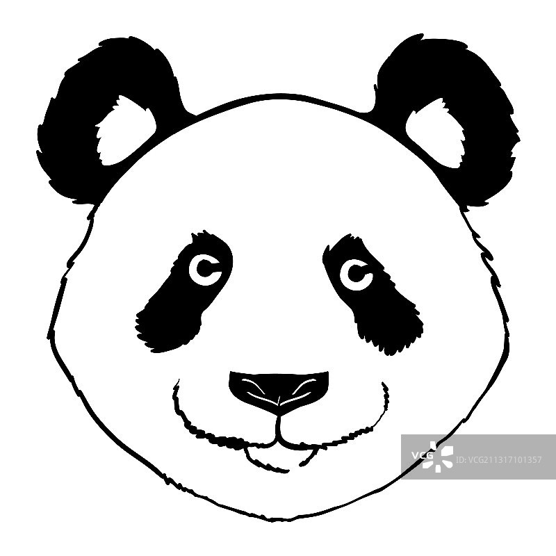 熊猫头面前视图设计飞溅图片素材