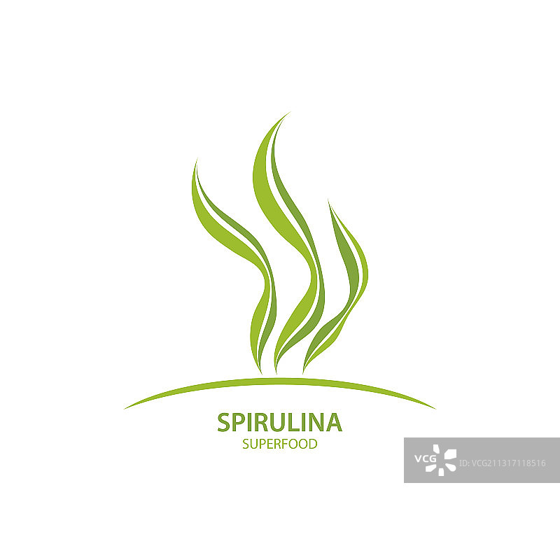 螺旋藻海藻叶子Logo图片素材
