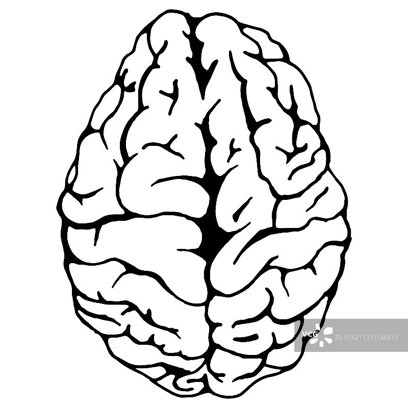 人脑手绘图案图片素材