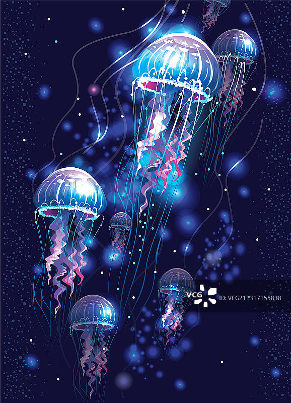 发光透明水母图片素材
