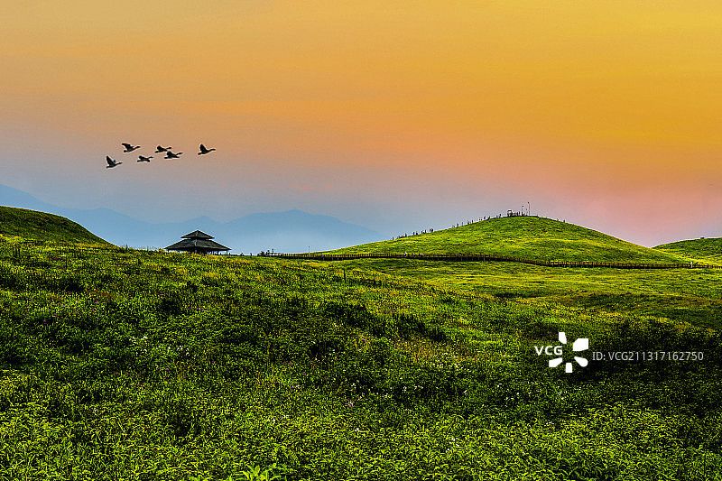 贵州阿西里西韭菜坪坝上风景图片素材