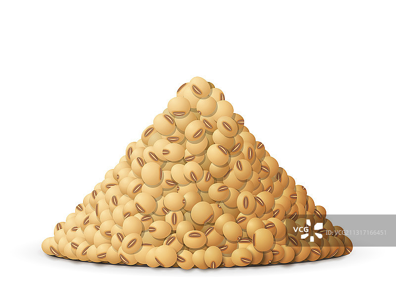 大豆侧面图图片素材