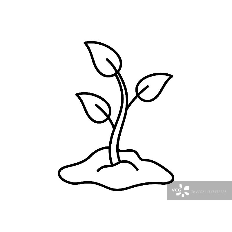 山坡上的嫩芽图片素材