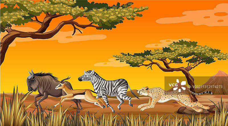 野生动物在稀树草原上奔跑图片素材