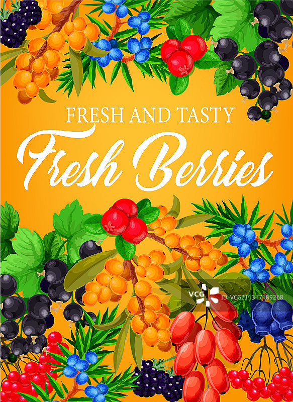 农场花园中的覆盆子草莓水果图片素材