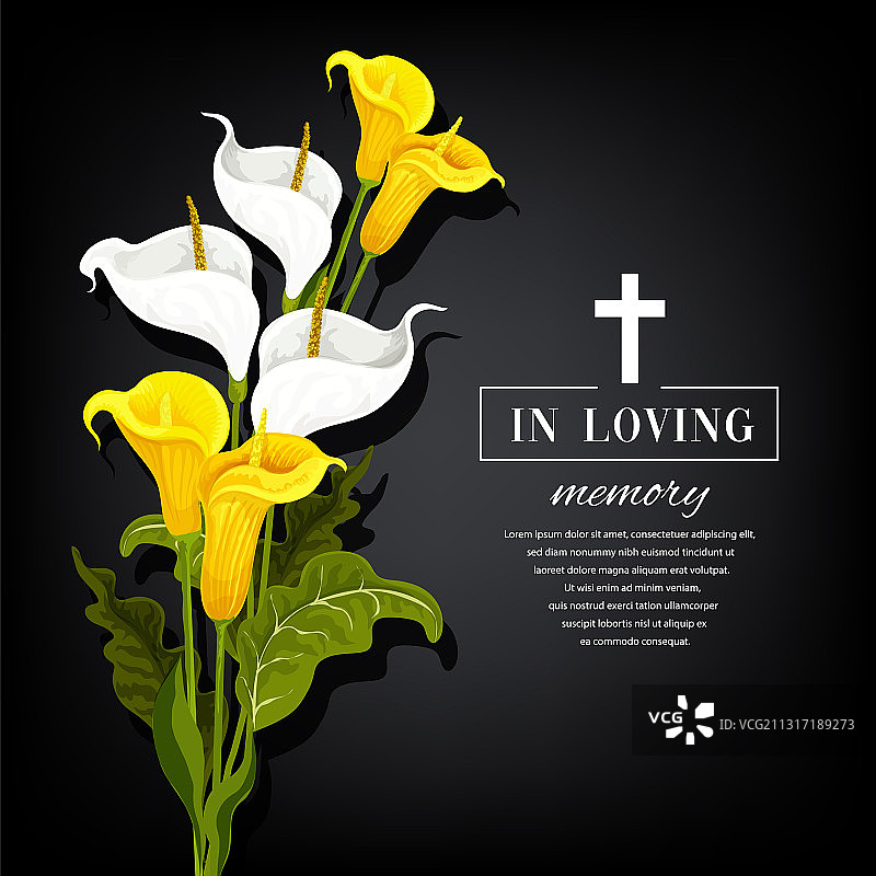 带有马蹄莲的葬礼卡片图片素材