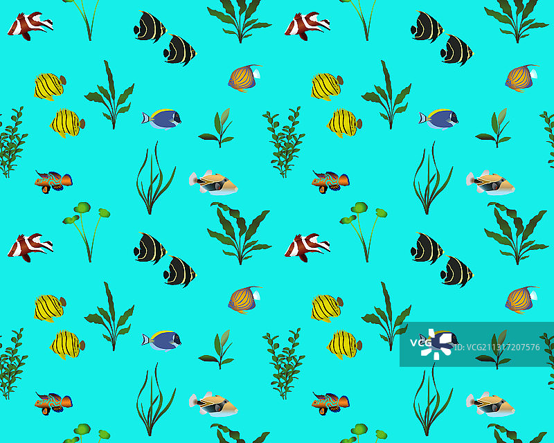 彩色海洋鱼图片素材