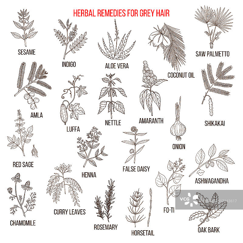 治疗白发的最佳草药疗法图片素材