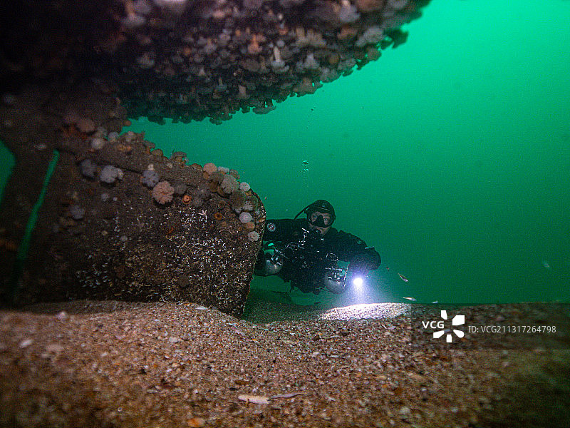 在爱尔兰格拉斯劳恩·莱特吉什海域潜水图片素材