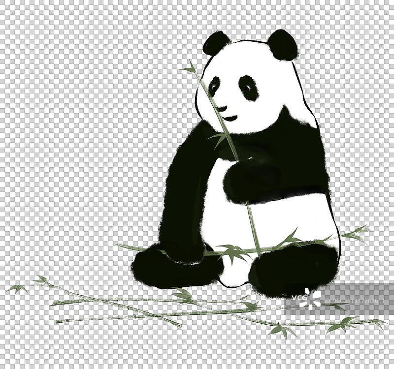 熊猫吃竹子图片素材