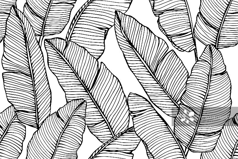 香蕉热带叶子无缝图案图片素材