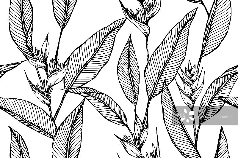 夏威夷热带花卉树叶无缝图案图片素材