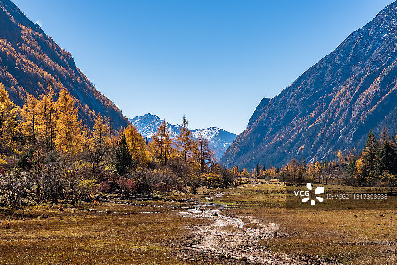 长坪沟秋色图片素材
