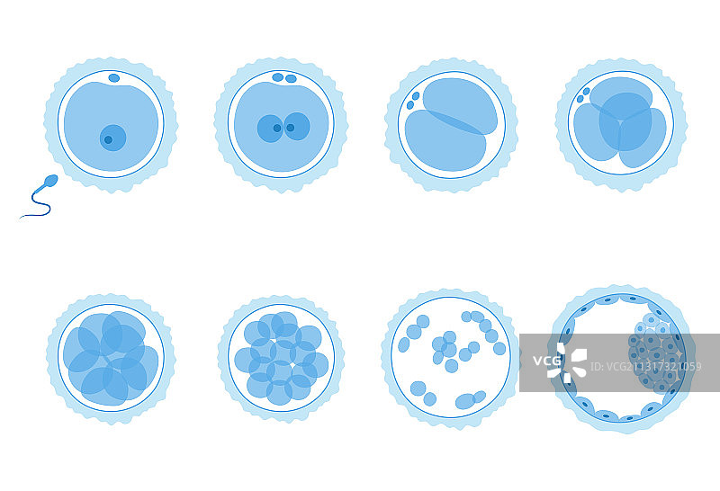 人类生育概念图片素材