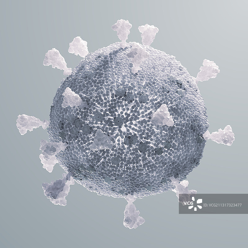 3D渲染新型冠状病毒背景分离结构图图片素材