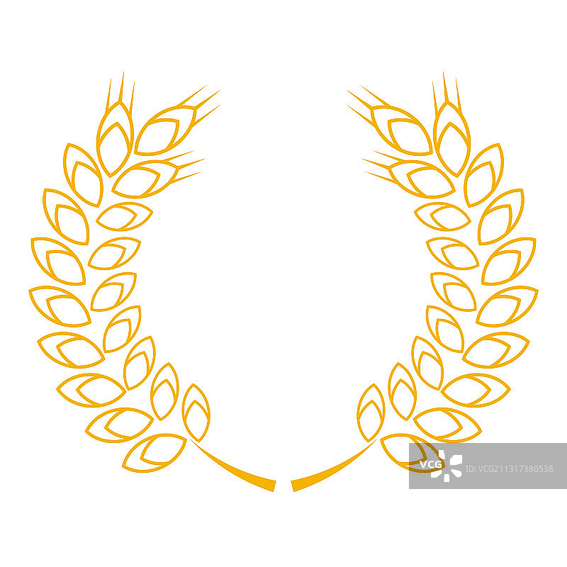 小麦或大麦穗，小麦粮食丰收图片素材