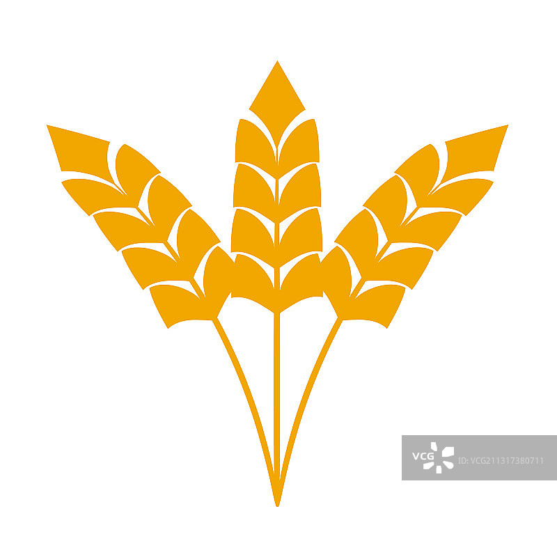 小麦或大麦穗，小麦粮食丰收图片素材