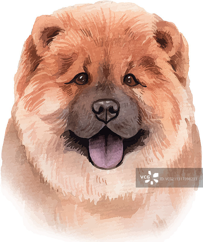 手绘水彩风孔雀松狮犬图片素材