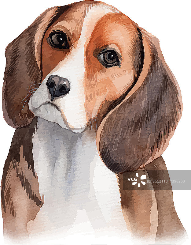 水彩手绘比格犬图片素材