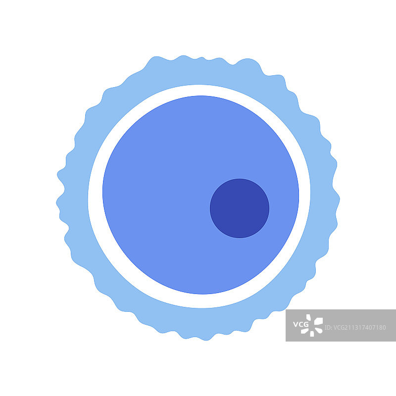 卵细胞解剖图片素材