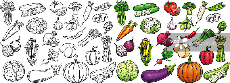 蔬菜图标合集图片素材