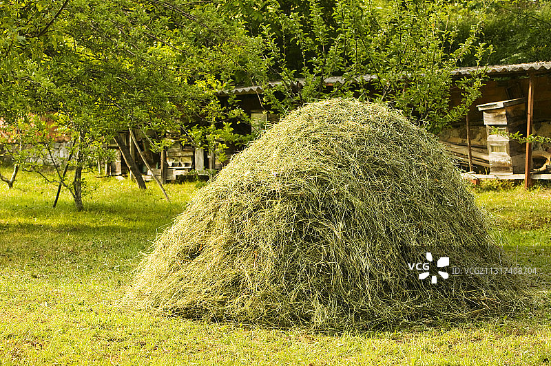 西班牙欧洲之峰的干草草甸和草堆。图片素材