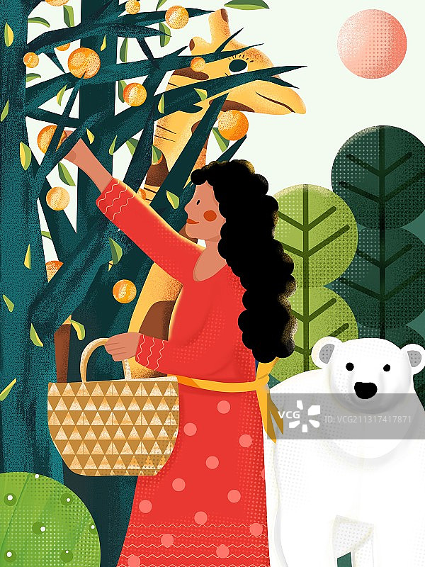 冬日摘橘子的女人和长颈鹿图片素材
