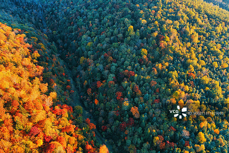 航拍吉林长白山秋季五彩森林图片素材