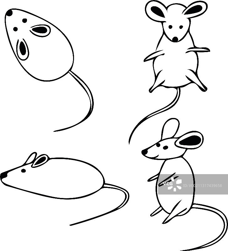 手绘老鼠图形合集图片素材