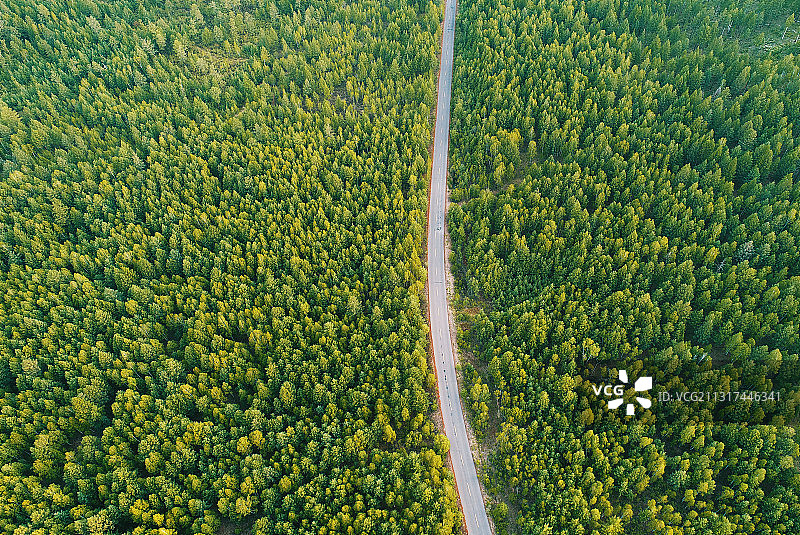 航拍穿越绿色林海的山林公路图片素材
