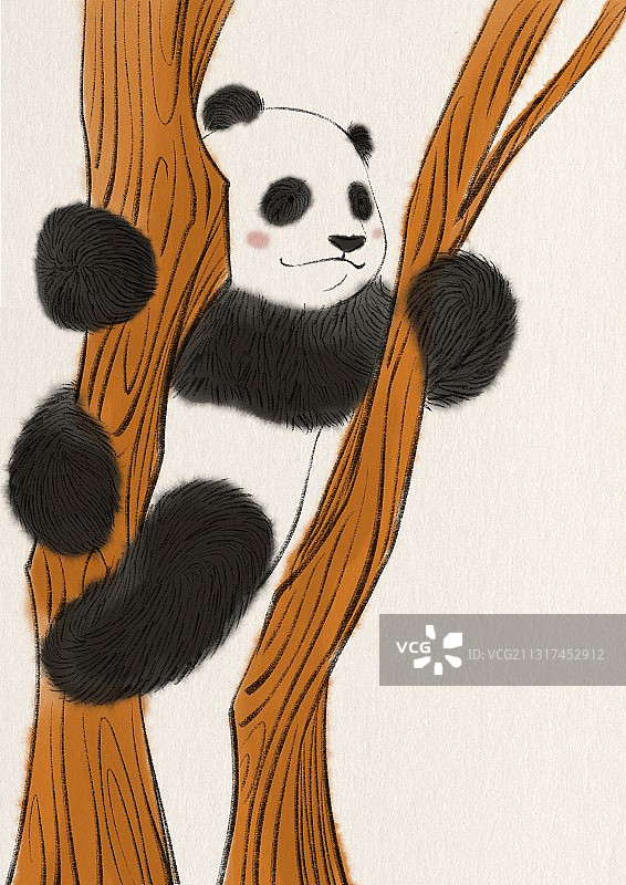 大熊猫图片素材