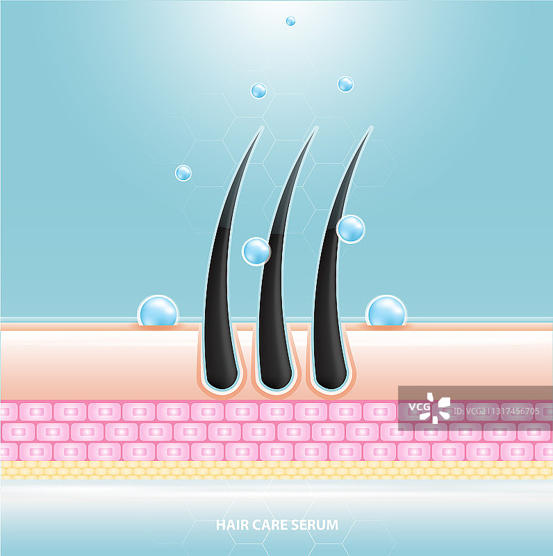 护发精华液毛囊诊断皮肤解剖图片素材